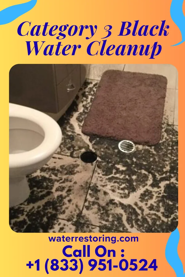 Category 3 Black Water Cleanup in Midway North, TX